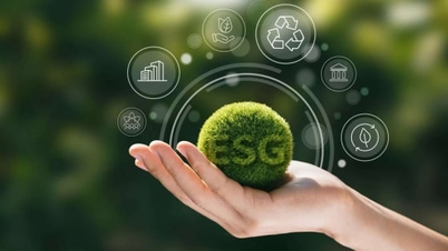 Innovation och ESG-metoder i den digitala tidsåldern