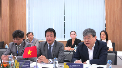 El Vicepresidente Permanente del Comité Popular Provincial, Nguyen Long Bien, sostuvo una reunión de trabajo con la Universidad Nacional de Educación de Daegu, Corea del Sur.