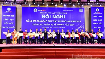 Syarikat Kuasa Tuyen Quang melaksanakan tugasnya untuk tahun 2026.