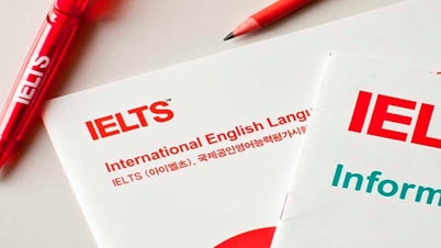 IELTS 보너스 점수 기준 강화로 학생들이 '안전 마진'을 잃을까 봐 걱정하며 대거 학습 계획을 수정하고 있다.