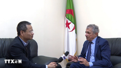 Algerian politicians highly appreciate the strategic vision of the Doi Moi (Renovation) policy.