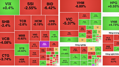 انخفض مؤشر VN-Index بشكل حاد بأكثر من 40 نقطة، لكن الخبراء ليسوا قلقين بشأن اتجاه السوق.