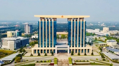 Ho Chi Minh City announces the Project for the Development of a Science and Technology City in the North.