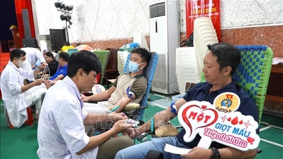 Spring Blood Donation Festival 2026: An Giang strives to receive 9,300 or more units of blood.