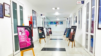 ビジュアルミュージカル展示プロジェクト「エコーライン」のクリエイター、VICsersのグエン・ミー・カン・ハ氏をご紹介します。