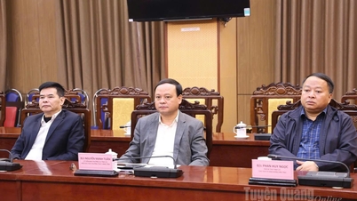 صوبائی پیپلز کمیٹی کے چیئرمین Phan Huy Ngoc اور صوبائی پیپلز کمیٹی کے اسٹینڈنگ وائس چیئرمین Nguyen Manh Tuan کو صوبائی عوامی کونسل کی 20 ویں مدت کے لیے امیدوار نامزد کیا گیا ہے۔