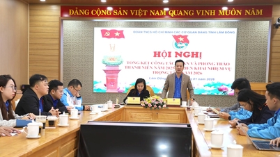 Los jóvenes de las organizaciones del Partido en la provincia de Lam Dong movilizan más de 2 mil millones de VND para cuidar el bienestar social.