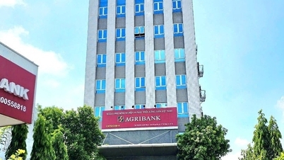 Dấu ấn Agribank Chi nhánh 9 trong công tác huy động vốn và thu hồi nợ năm 2025