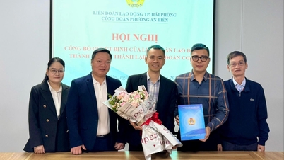 Pembentukan Serikat Pekerja Perusahaan Gabungan Volkswagen Hai Phong