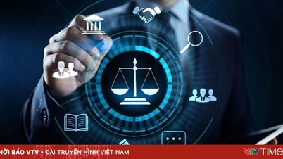암호화폐 시장 운영을 위한 "세 가지 핵심 요소".