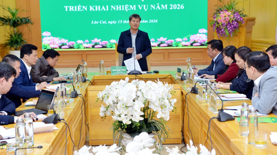 V provincii Lao Cai dosáhl celkový nesplacený zůstatek úvěrů na úvěrové programy sociální politiky více než 11 716 miliard VND.
