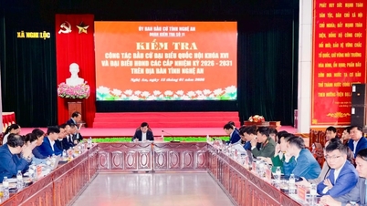 Nghe An: Memeriksa persiapan pemilihan anggota Majelis Nasional dan anggota Dewan Rakyat di semua tingkatan di beberapa komune.