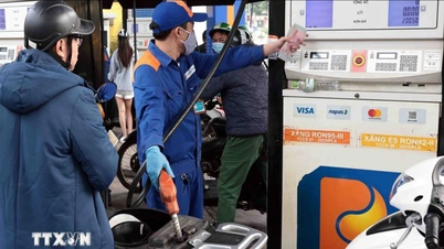 燃料価格は全面的に再び上昇し、RON95-IIIガソリンの価格は現在18,712 VNDとなっている。