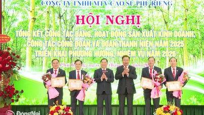 Se espera que en 2025, Phu Rieng Rubber Company Limited alcance ingresos de más de 1.680 mil millones de VND.