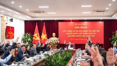 El Ministerio de Relaciones Exteriores solicita la opinión de los votantes para la nominación de candidatos a la XVI Asamblea Nacional.