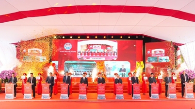 Hai Phong نے ویتنام کی کمیونسٹ پارٹی کی 14 ویں قومی کانگریس کے جشن میں 3 صنعتی پارکوں کی تعمیر شروع کر دی۔