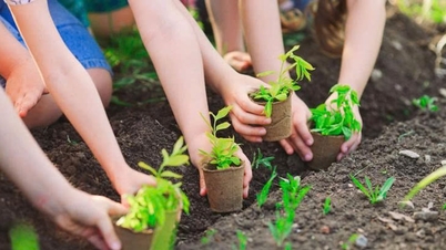 Provincia Lam Dong lansează o campanie de plantare a copacilor, unindu-și forțele pentru a proteja pădurile.