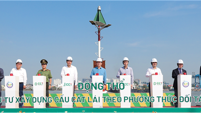 Đồng Nai khởi công gần 6,3 nghìn căn hộ nhà ở xã hội