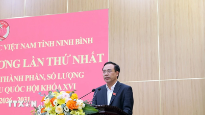 Genehmigung des Wahlergebnisses für den stellvertretenden Vorsitzenden des Volkskomitees der Provinz Ninh Binh.