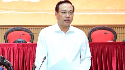 Goedkeuring van de verkiezingsuitslag voor de vicevoorzitter van het provinciale volkscomité van Ninh Binh.