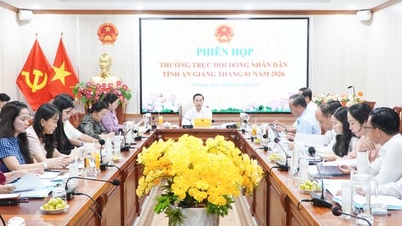 Thường trực HĐND tỉnh An Giang cho ý kiến một số nội dung quan trọng