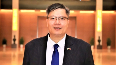 새 임기 동안의 지속가능한 발전에 대한 기대.