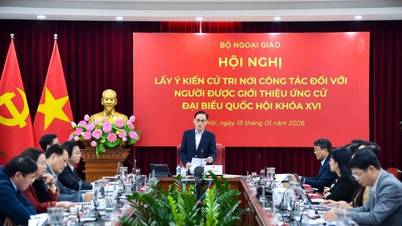 Giới thiệu Bộ trưởng Ngoại giao Lê Hoài Trung ứng cử đại biểu Quốc hội khóa XVI