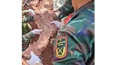 Пошук та збір останків загиблих солдатів разом з багатьма важливими артефактами.