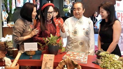โฮจิมินห์ซิตี้มีพิพิธภัณฑ์เฝอ