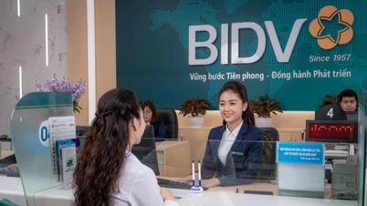 BIDV SCFast 2026 - 공급망 내 기업을 지원하는 종합 솔루션.
