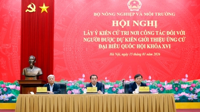 Bộ Nông nghiệp và Môi trường lấy ý kiến cử tri nơi công tác về giới thiệu Đại biểu Quốc hội khóa XVI