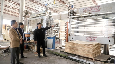23 projek promosi perindustrian akan dilaksanakan pada tahun 2025.