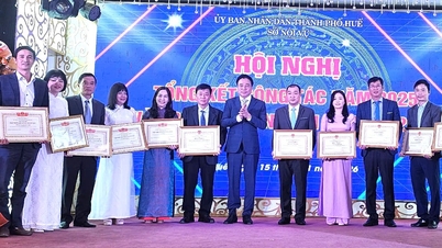 이중 지방 정부 모델 하에서 국가 통치의 효율성을 향상시키는 방안.