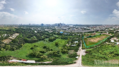 [Image] La ville d'Hô Chi Minh-Ville lance simultanément la construction et pose la première pierre de 4 projets clés.