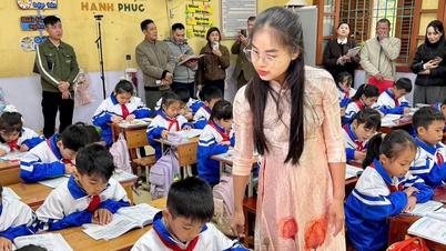 Provincie Tuyen Quang přijímá 488 úředníků ve školství.