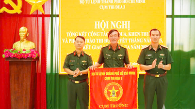 Kluster 3, Ho Chi Minh-stadens kommando: Fokusera på omfattande emulering, undvik att sprida resurserna för tunt.