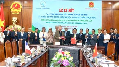 Le Comité populaire provincial a tenu une réunion du Comité de pilotage pour la coopération locale avec le Syndicat SFL de France.