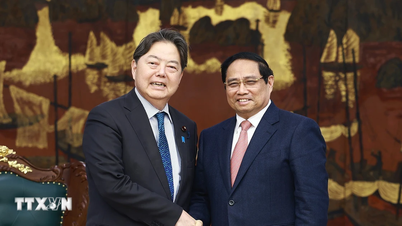 Vietnam värdesätter och önskar stärka samarbetet med Japan inom olika områden.