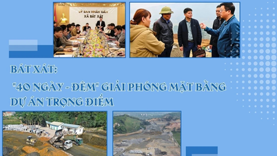 بت زات: «۴۰ شبانه‌روز» پاکسازی زمین برای یک پروژه کلیدی.