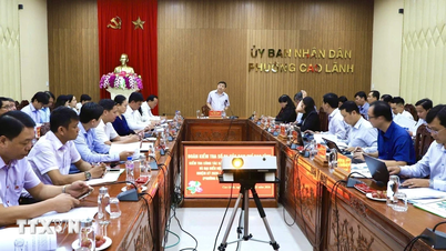Bầu cử Quốc hội và HĐND: Đồng Tháp cơ cấu nhân sự đảm bảo theo quy định