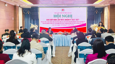 Perhimpunan Palang Merah Provinsi Lao Cai merangkum kegiatan kemanusiaannya pada tahun 2025 dan memberikan penghargaan kepada individu dan organisasi yang berprestasi.