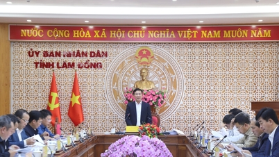 จังหวัดลำดงกำลังมุ่งเน้นการจัดสรรเงินทุนให้กับโครงการสำคัญที่มีความเป็นไปได้สูง