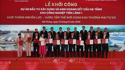 Hai Phong, yeşil dönüşüm ve inovasyon alanında öncü projeler başlatıyor.