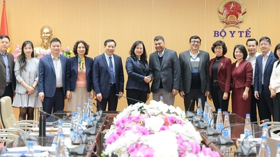 Minister of Health Dao Hong Lan receives the Acting Director of the SOS Children's Villages International Program.