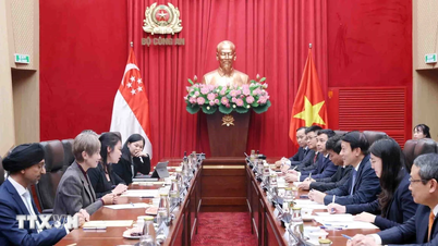 Menggalakkan kerjasama dalam keselamatan siber dan transformasi digital antara Vietnam dan Singapura.