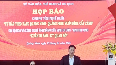 Quang Ninh: Two prominent activities celebrating the Party and the Lunar New Year of the Horse 2026 are about to take place.