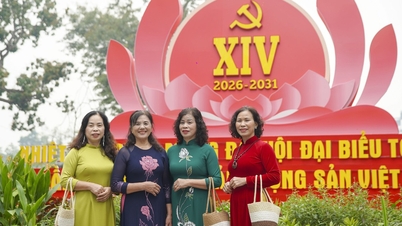Hanoi, Vietnam Komünist Partisi'nin 14. Ulusal Kongresi öncesinde bayraklar ve çiçeklerle süslendi.