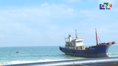 Sẵn sàng phương án bàn giao tàu mắc cạn