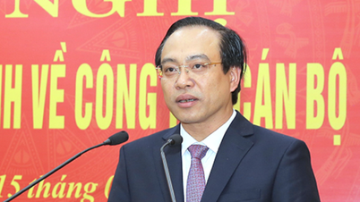 Premier zatwierdza nominację Dang Thanh Sona na stanowisko wiceprzewodniczącego Ludowego Komitetu Prowincji Ninh Binh.