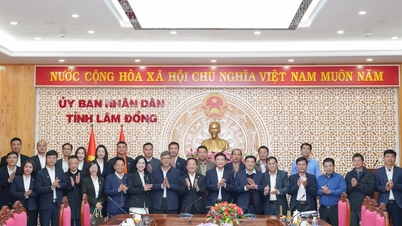 Die Provinz Lam Dong arbeitet mit der T&T Group an Investitionsprojekten.